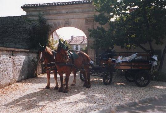 Location de calèche, cocher, mariage